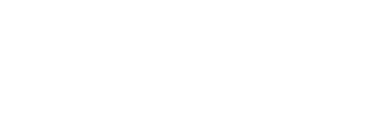 MSX